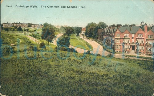 Tunbridge wells common - common, &