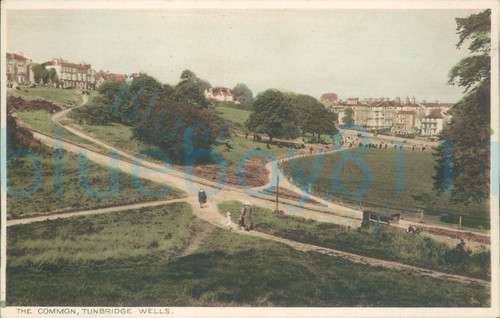 Tunbridge wells the - tunbridge,