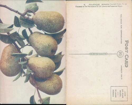 Pears branch the - a,