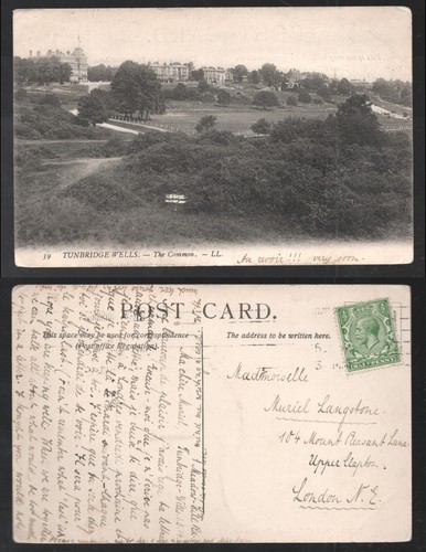Tunbridge wells the - tunbridge,