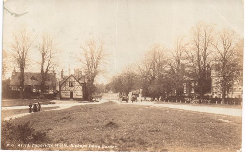Tunbridge wells bishops - bishops, down