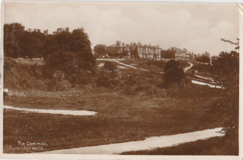 Kent the common tunbridge - kent:the, common,