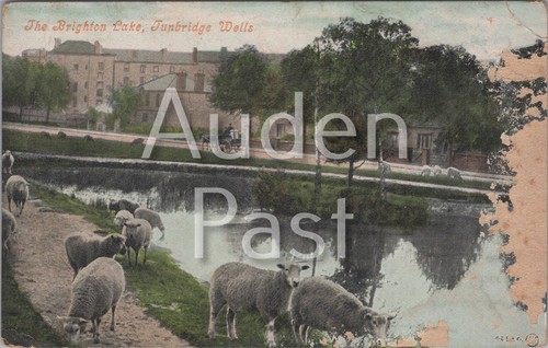 Brighton lake tunbridge wells - tunbridge,