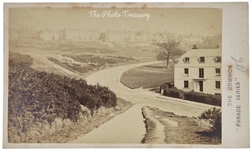 Cdv tunbridge wells the common - tunbridge,