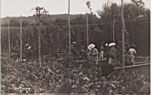 Kent hop picking 3 by - kent.,