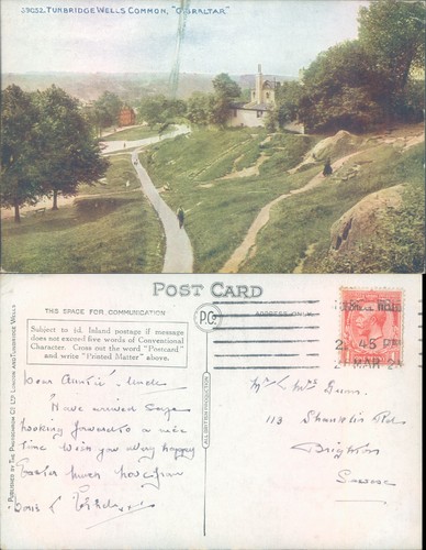 Tunbridge wells common - tunbridge,