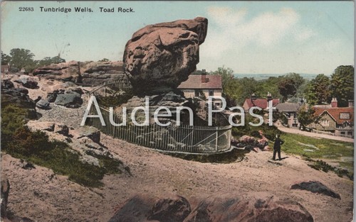 Vintage tunbridge wells - wells, toad