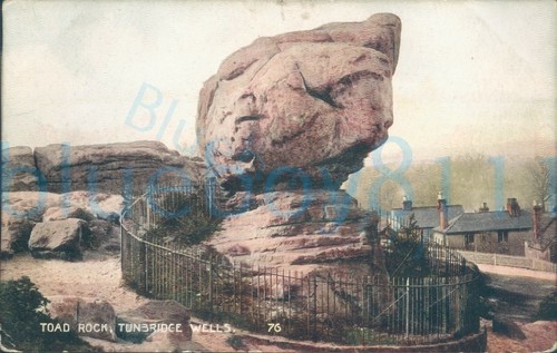 Tunbridge wells toad rock - toad,