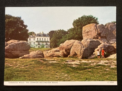 The common wellington rocks - common,