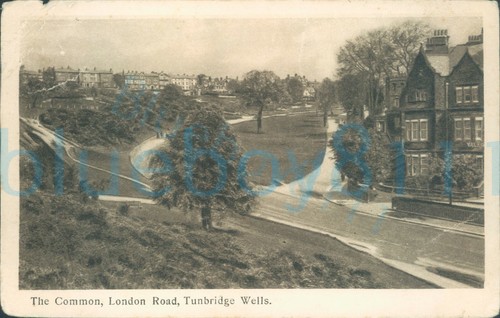 Tunbridge wells common london - tunbridge,