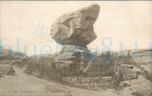 Tunbridge wells toad rock - toad,