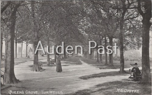 Vintage groves postcard - groves,