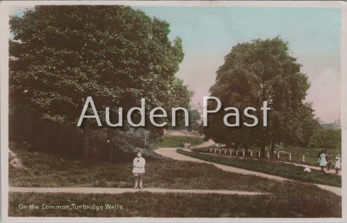 Vintage topographical postcard - vintage,