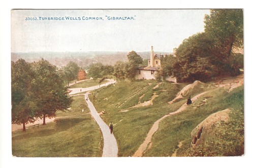 Tunbridge wells common - tunbridge,