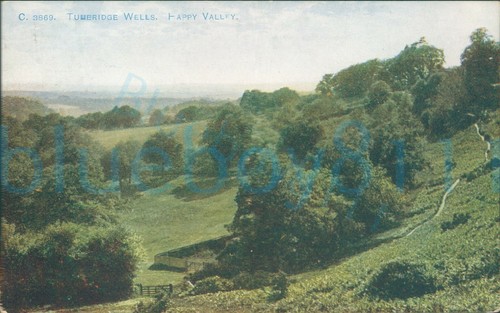 Tunbridge wells happy valley - tunbridge,