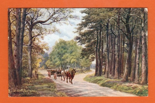 303043 postcard royal - ,