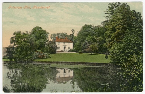 Primrose hill hawkhurst - hill,