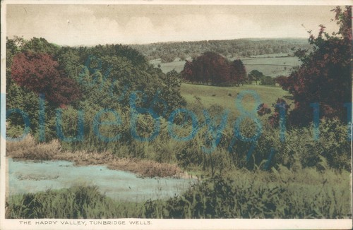 Tunbridge wells happy valley - wells,