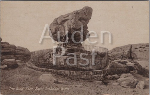 Vintage the toad - rock, royal